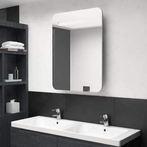 LED Bathroom Mirror Cabinet 60x11x80 cm with Soft Illumination for Modern Home Decor by vidaXL