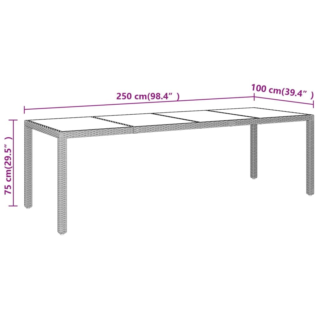 vidaXL Garden Table 250x100x75 cm Tempered Glass and Poly Rattan Black by vidaXL