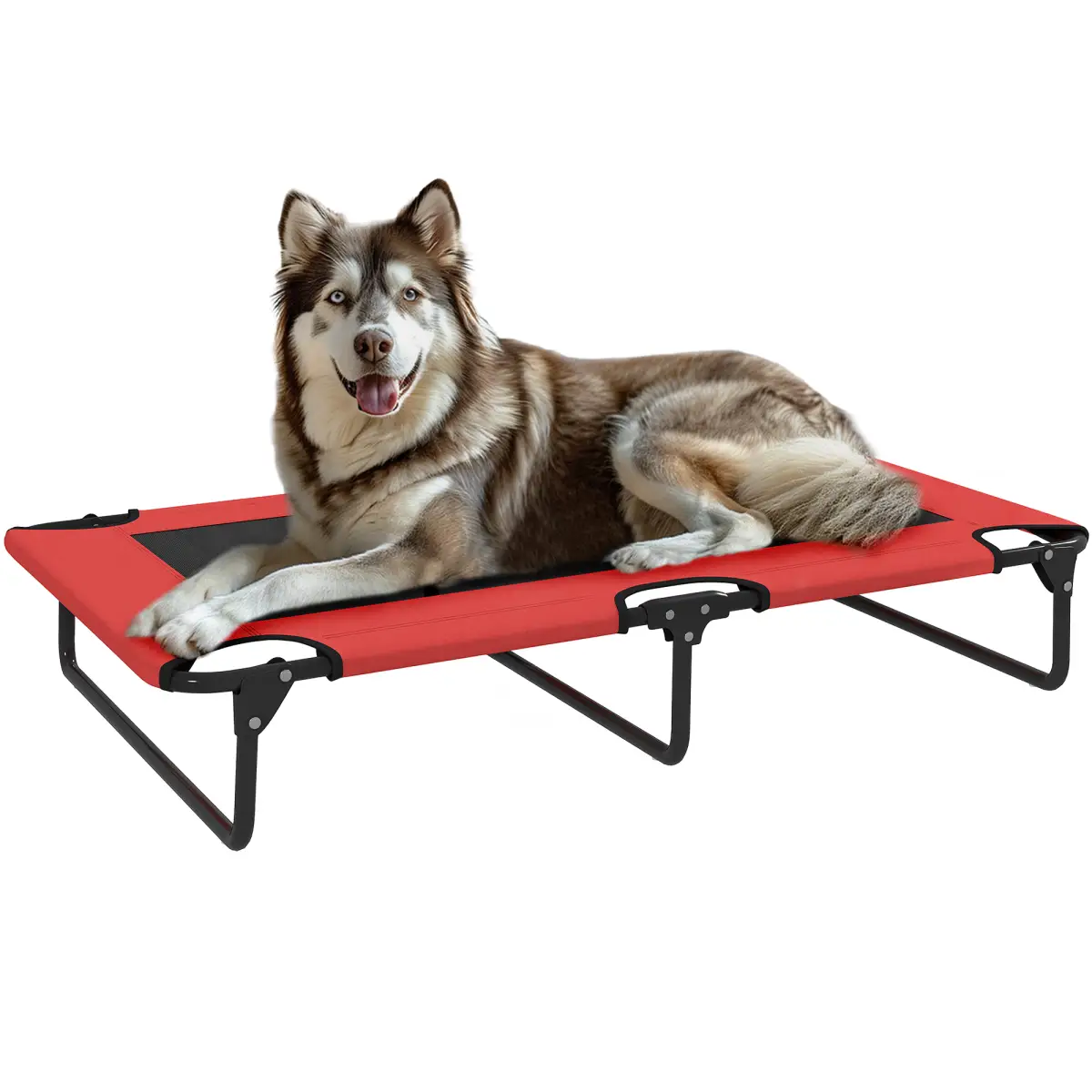 PawHut PawHut Raised Dog Bed with Breathable Mesh for S & M Dogs - Dog Beds