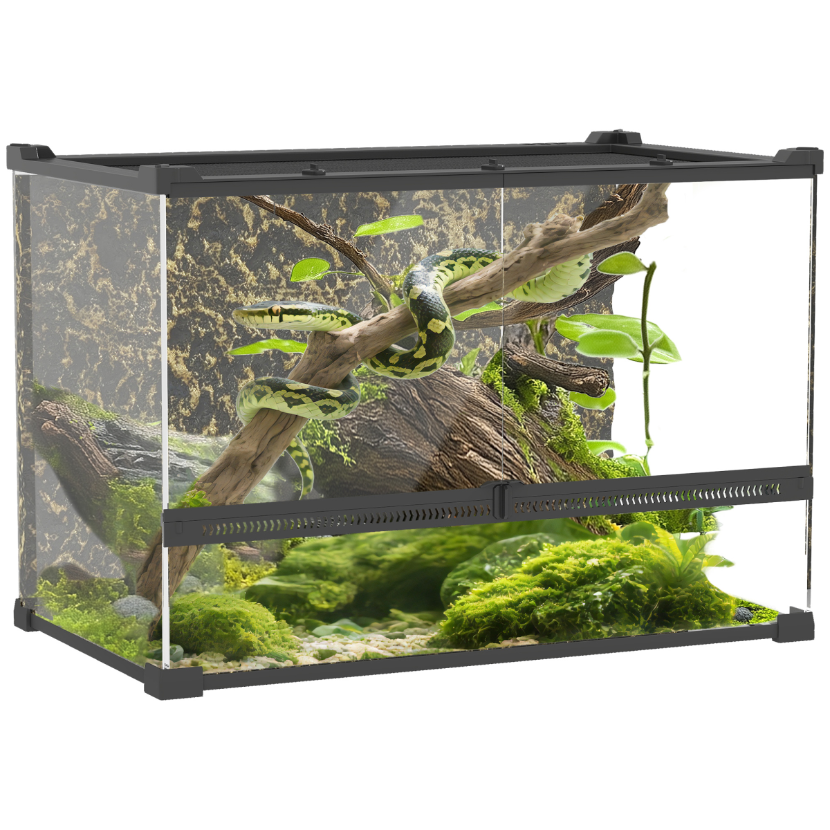 PawHut 10L Glass Terrarium, Reptile Vivarium with Stone Background - from PawHut