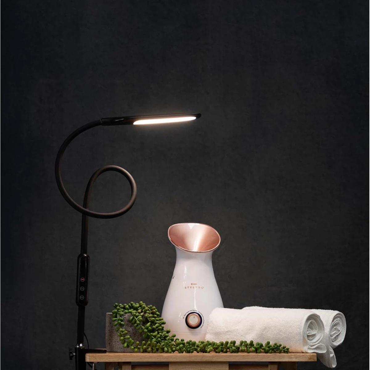 Native Lighting Home Symphony Lumina Desk Lamp 12in Gooseneck - Lamp