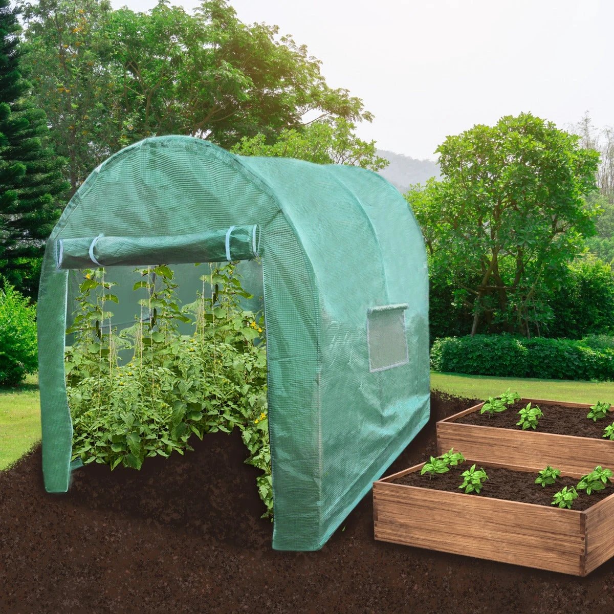 Monster Shop Pro Polytunnel 3m x 2m Enclosed for Gardeners - Uncategorized Greenhouse