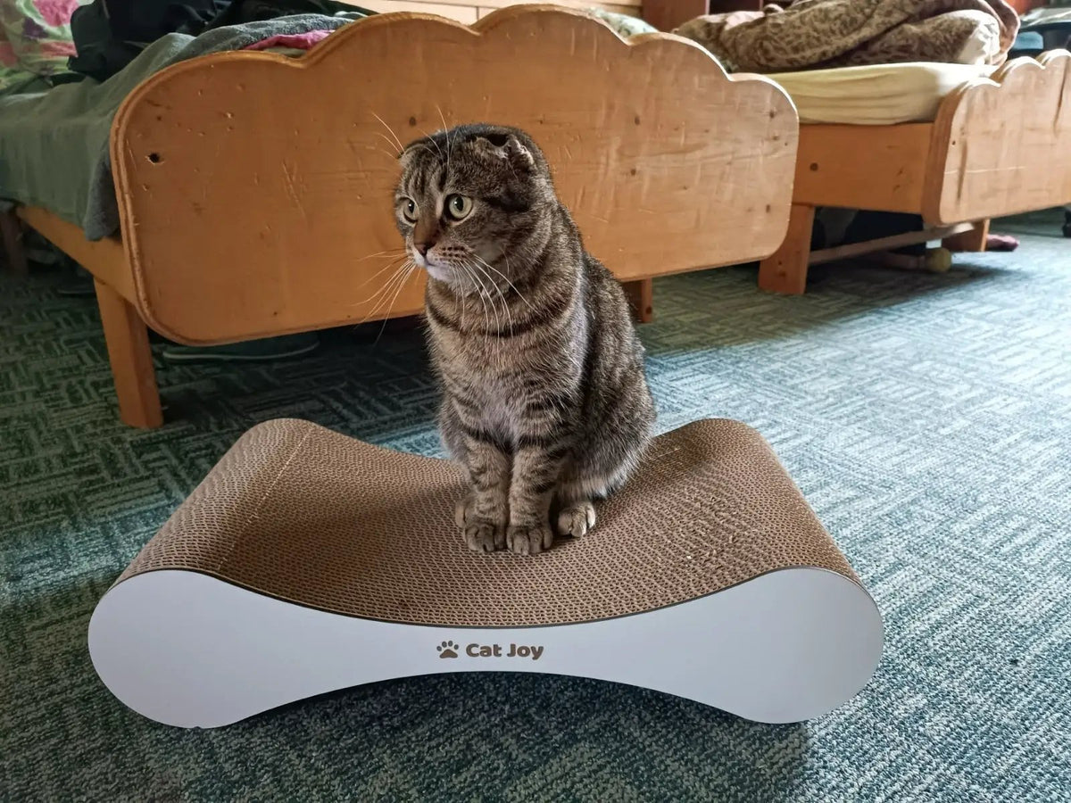 Snug — Compact Cardboard Cat Scratcher for Kittens, 59 cm - Cat Scratchers & Scratching Posts from CAT JOY