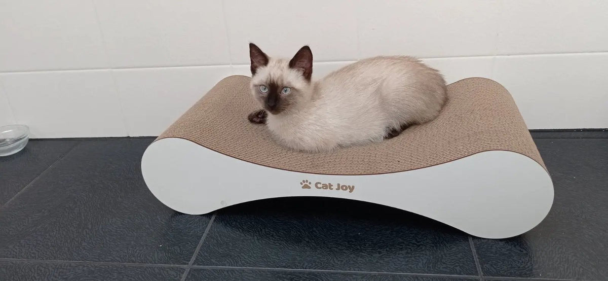 Snug — Compact Cardboard Cat Scratcher for Kittens, 59 cm - Cat Scratchers & Scratching Posts from CAT JOY