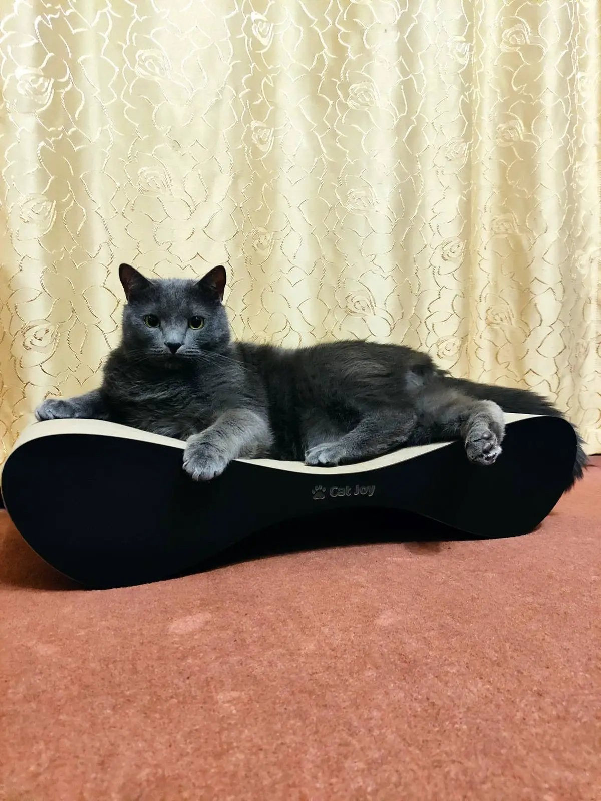 Lounge — Curved Cardboard Cat Scratcher Lounger, 70 cm - Cat Scratchers & Scratching Posts from CAT JOY