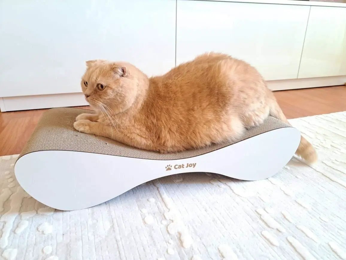 Lounge — Curved Cardboard Cat Scratcher Lounger, 70 cm - Cat Scratchers & Scratching Posts from CAT JOY