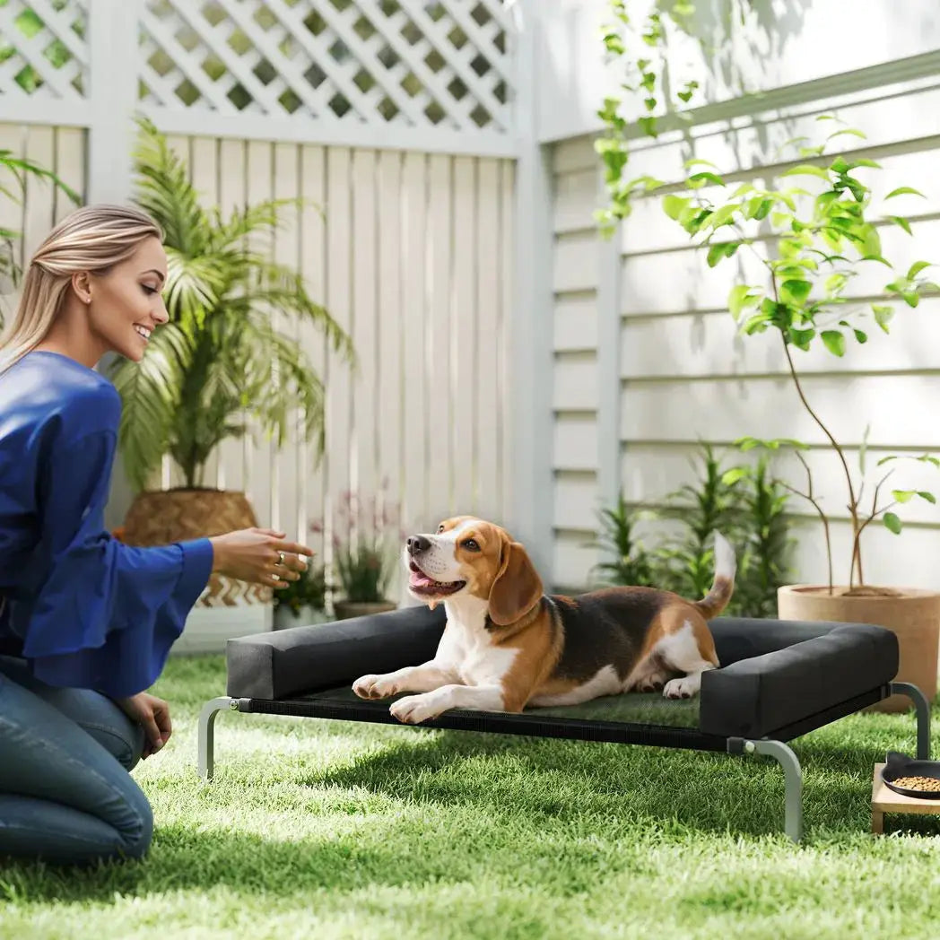 PawHut Elevated Dog Bed with Removable Bolsters, Raised Dog Bed for Medium Breeds, Portable Indoor & Outdoor Pet Cots, Black - from PawHut
