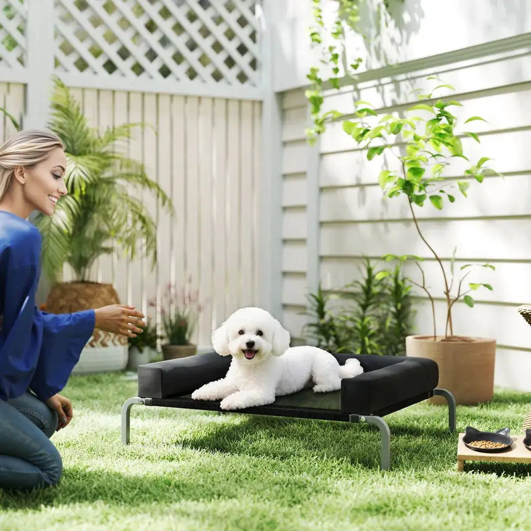 PawHut Elevated Dog Bed with Removable Bolsters, Raised Dog Bed for Small Breeds, Portable Indoor & Outdoor Pet Cots, Black - from PawHut