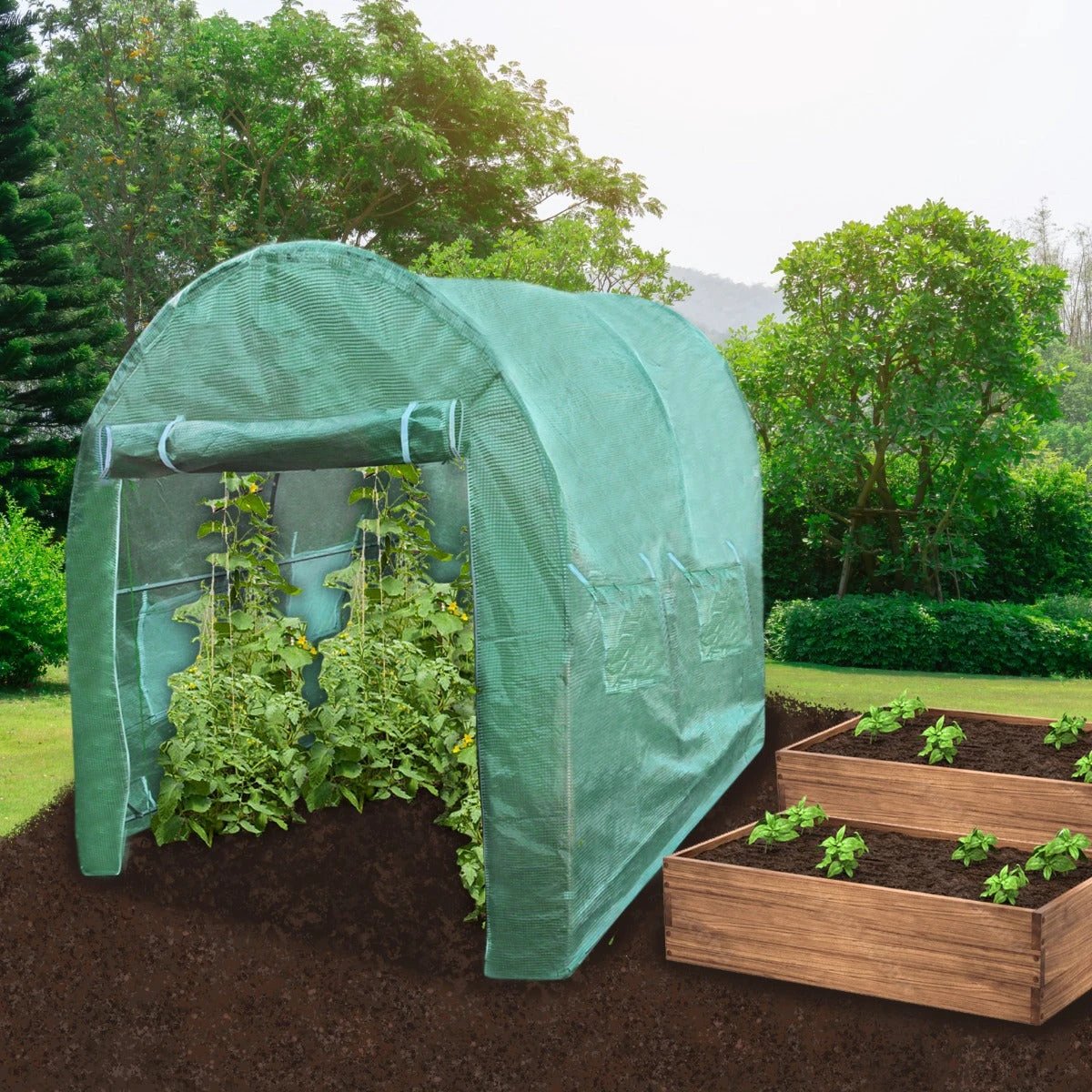 Premium Polytunnel 25mm Frame 4m x 2m Greenhouse with Zip Door and Mesh Windows for Easy Growing by Monster Shop