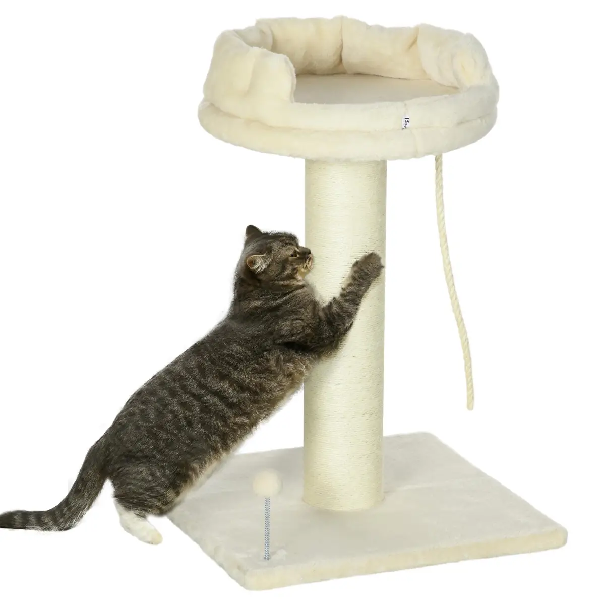 PawHut Cat Tree for Indoor Cats w/ Sisal Scratching Post, Spacious Kitten Bed - Cream - Cat Tree