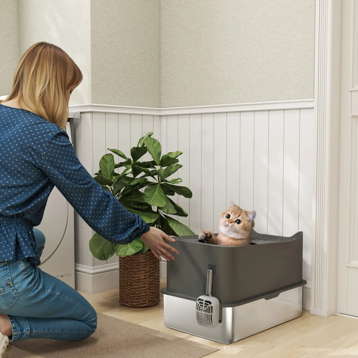 N/A Cat Litter Box - Cat Litter