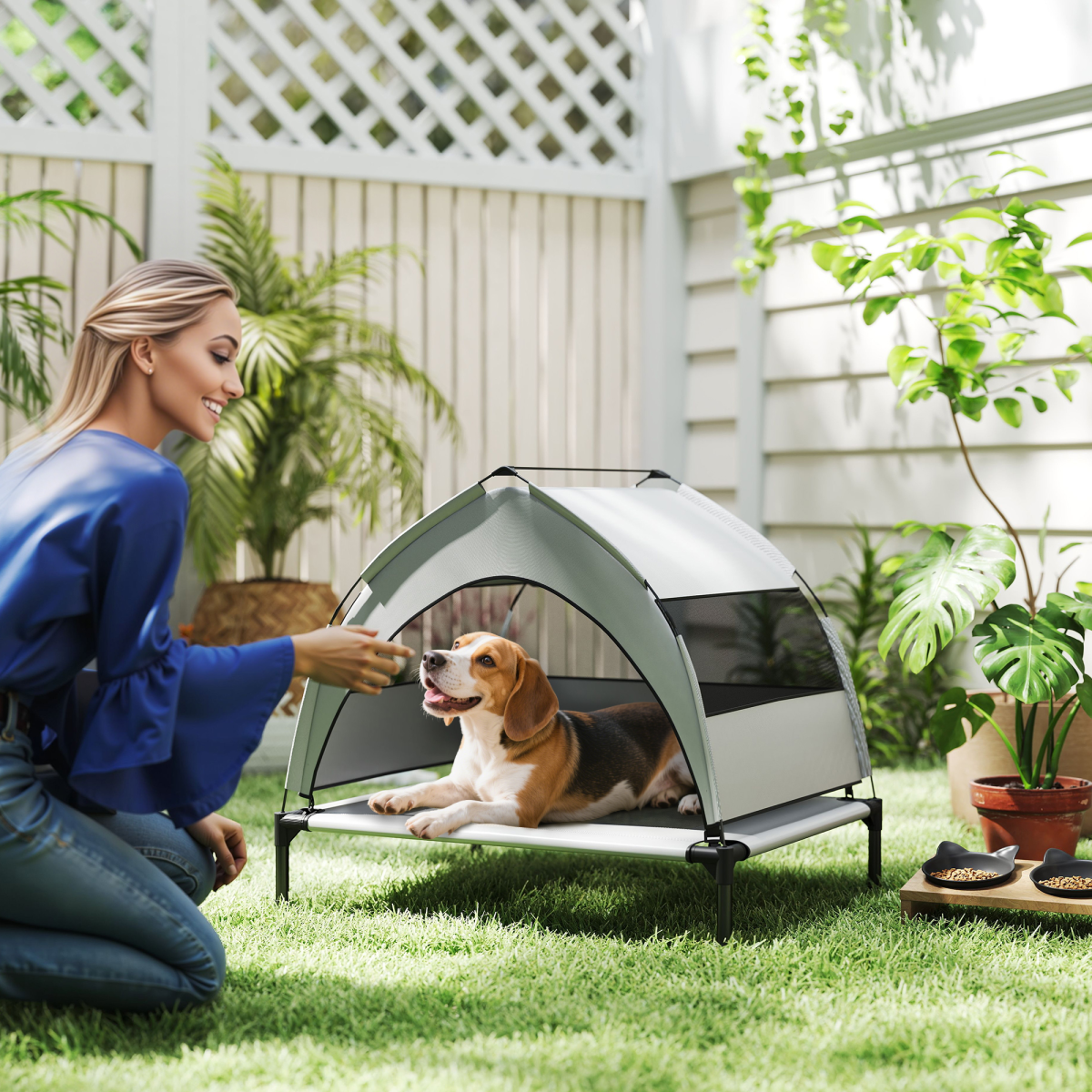 Dog House - from N/A