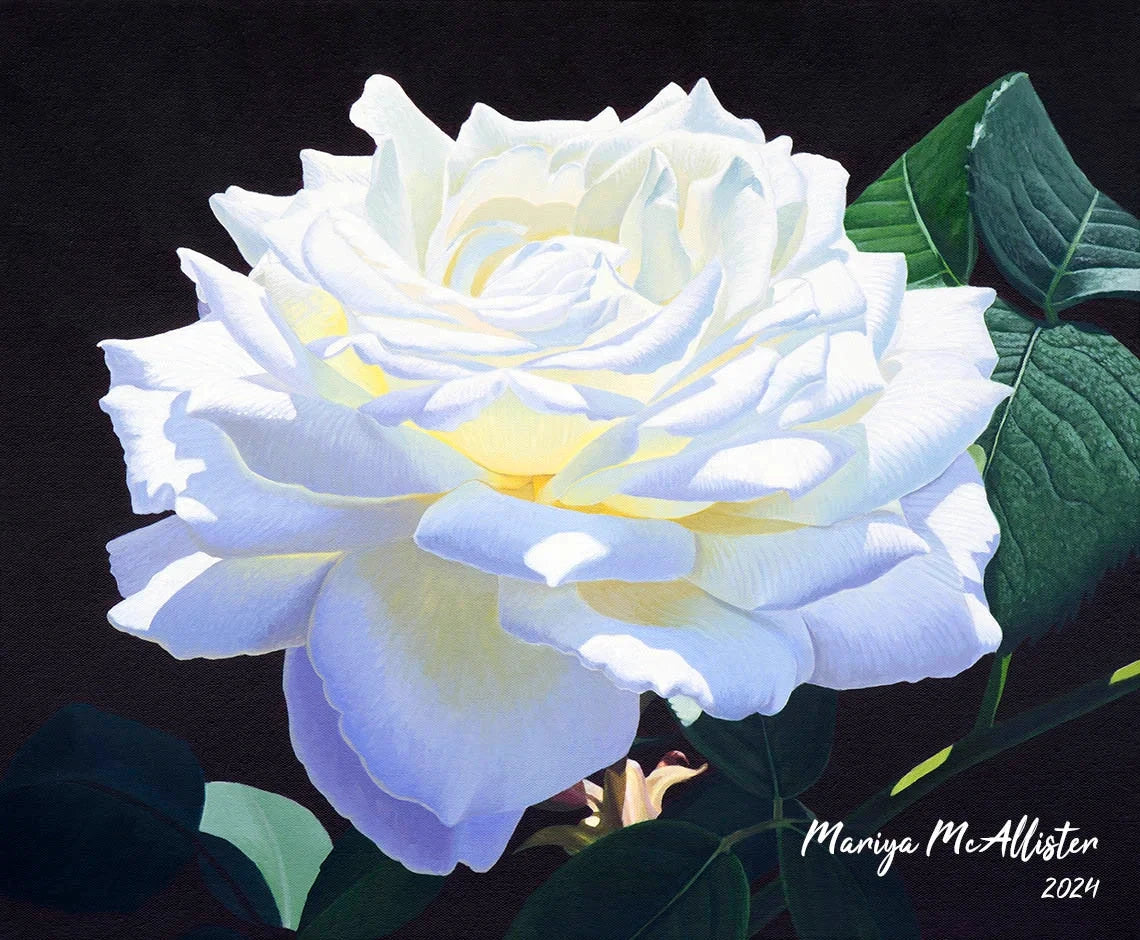 Mariya McAllister Solace - Artwork Wall Art