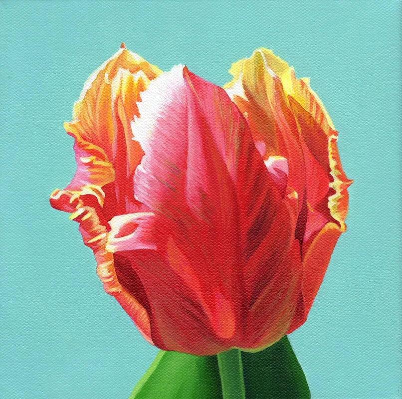 Mariya McAllister Tulip Dee Jay - Artwork Wall Art
