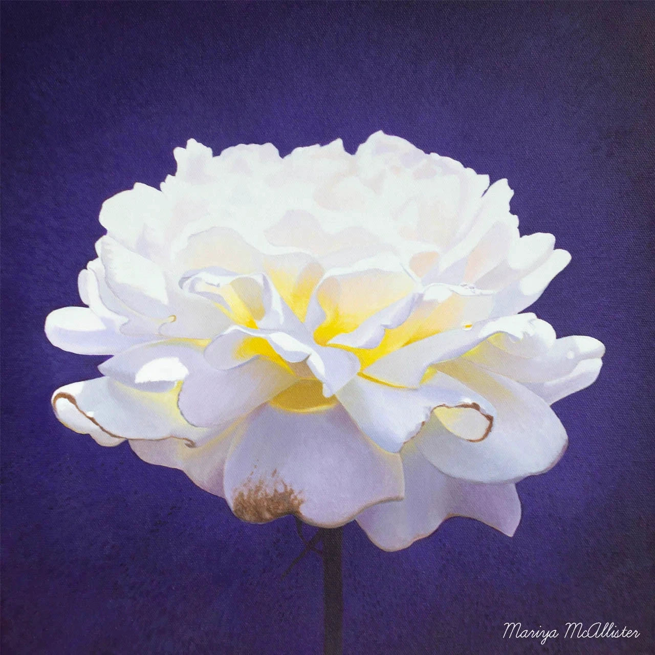 Mariya McAllister The Light Within - Artwork Wall Art
