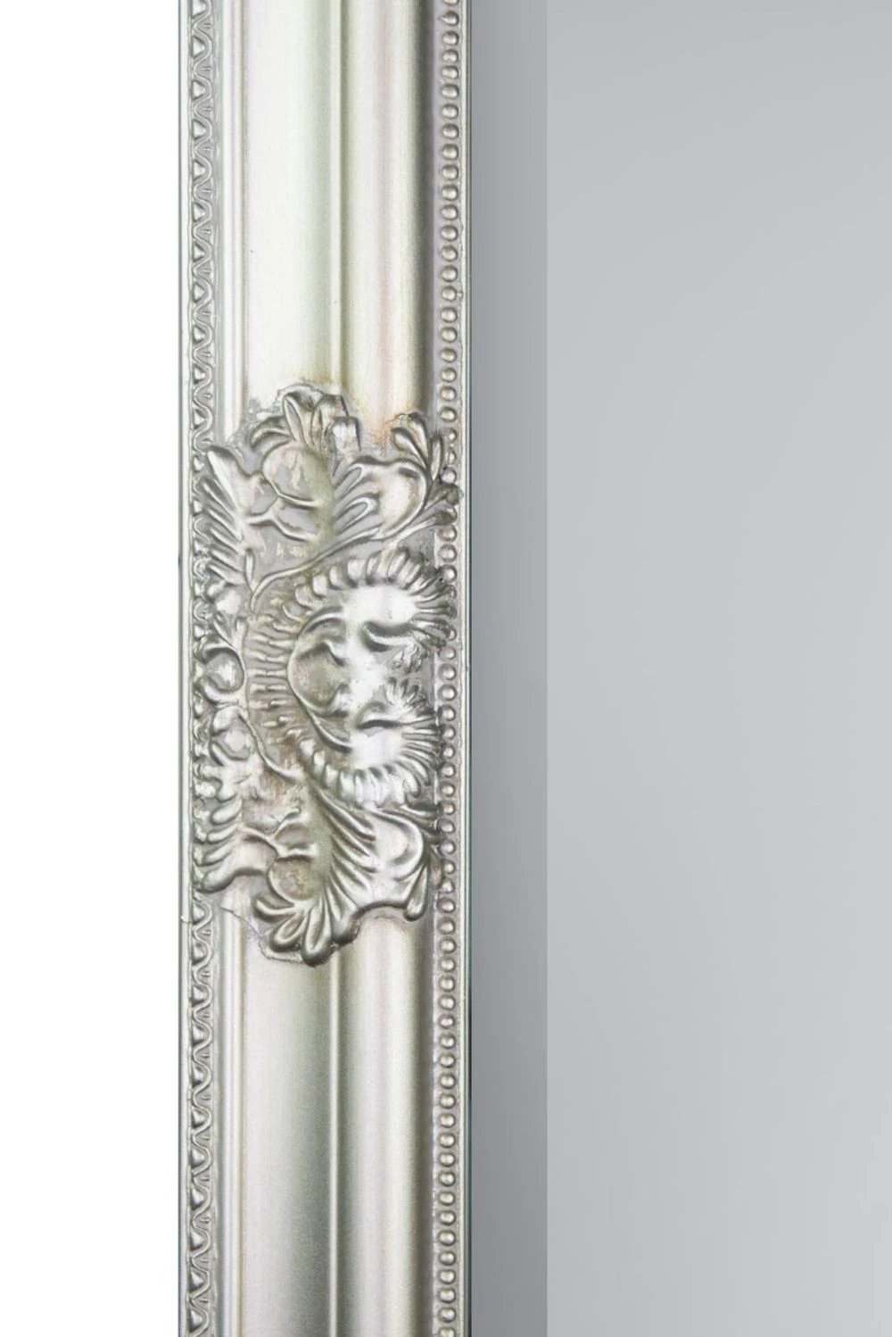 Austen Dark Elegant Full Length Mirror by Unbranded