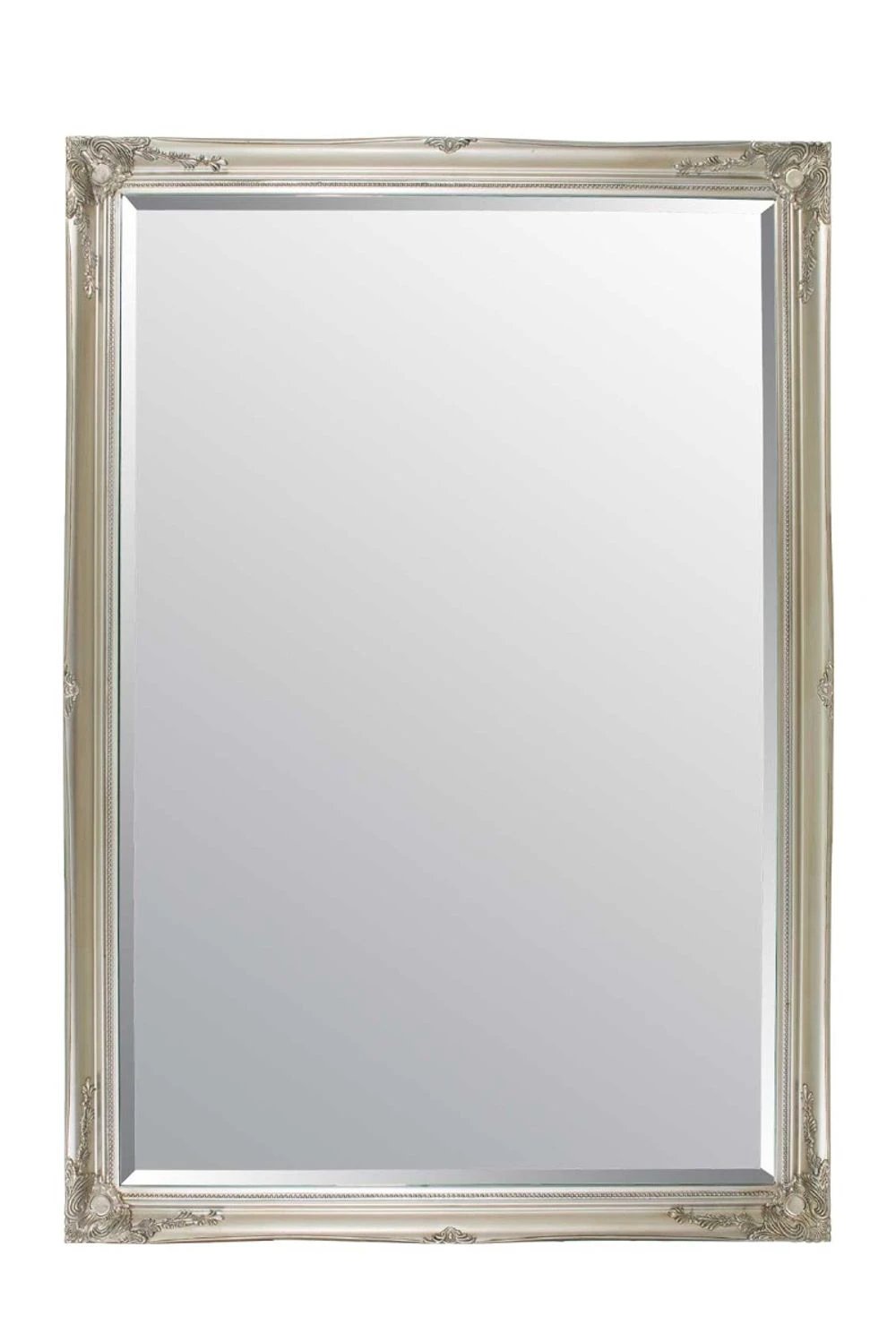 Buxton Extra Large Leaner Mirror 201 x 140 CM by Unbranded