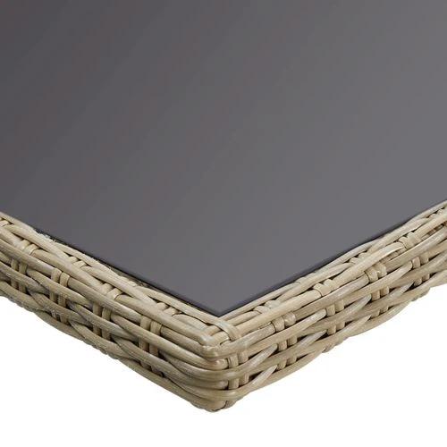 vidaXL Garden Dining Table Brown 200x100x74 cm Glass and Poly Rattan by vidaXL