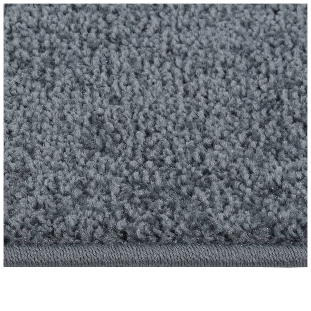 vidaXL Rug Short Pile 80x150 cm Anthracite by vidaXL