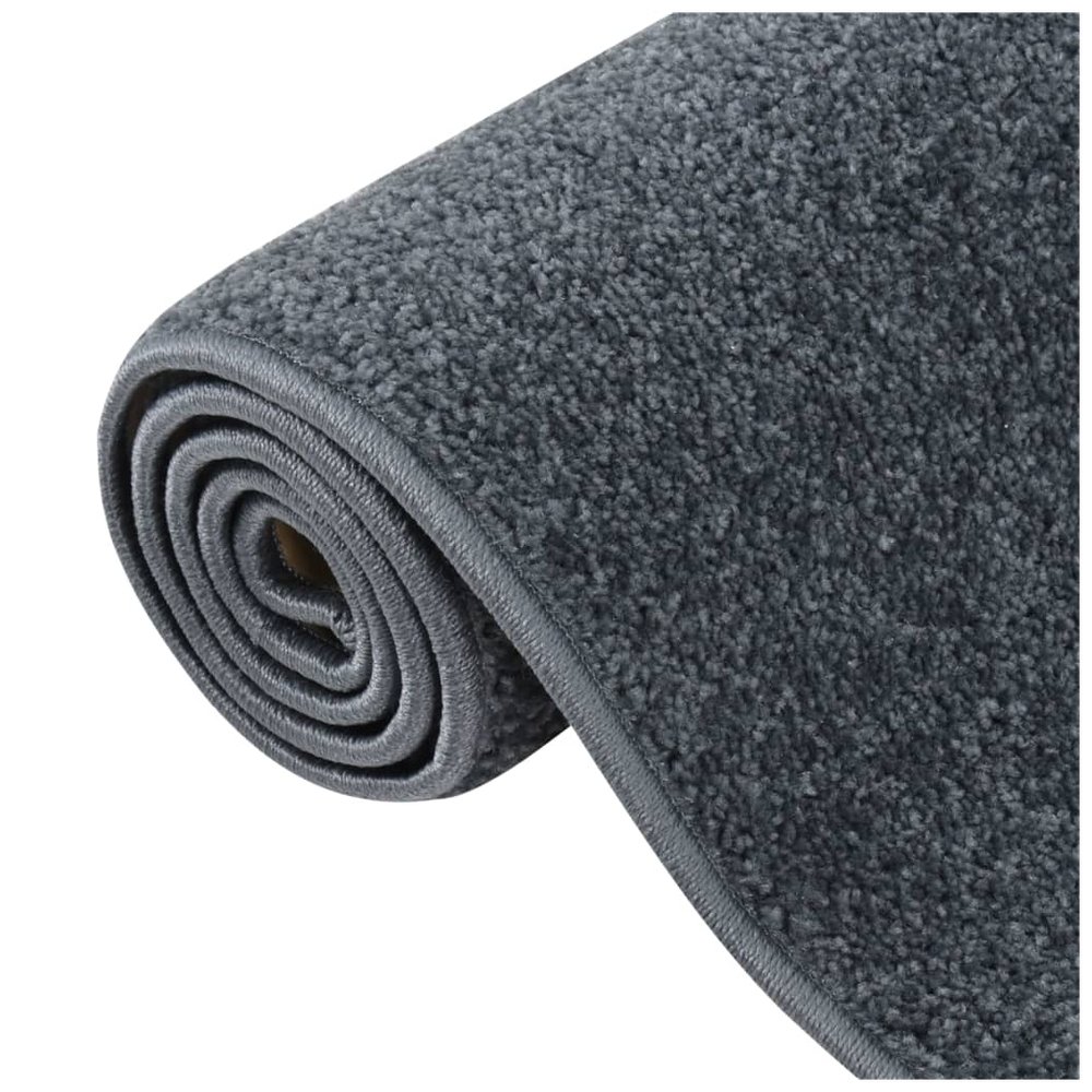 vidaXL Rug Short Pile 80x150 cm Anthracite by vidaXL