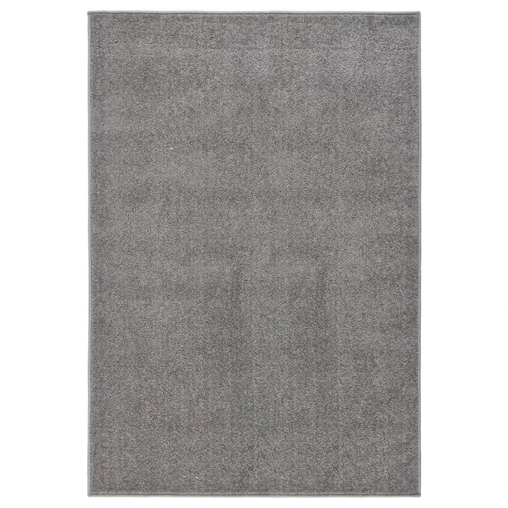 vidaXL Rug Short Pile 80x150 cm Anthracite by vidaXL